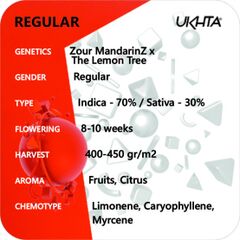 Zour Mandarin x Lemon Tree, Фасовка: 11